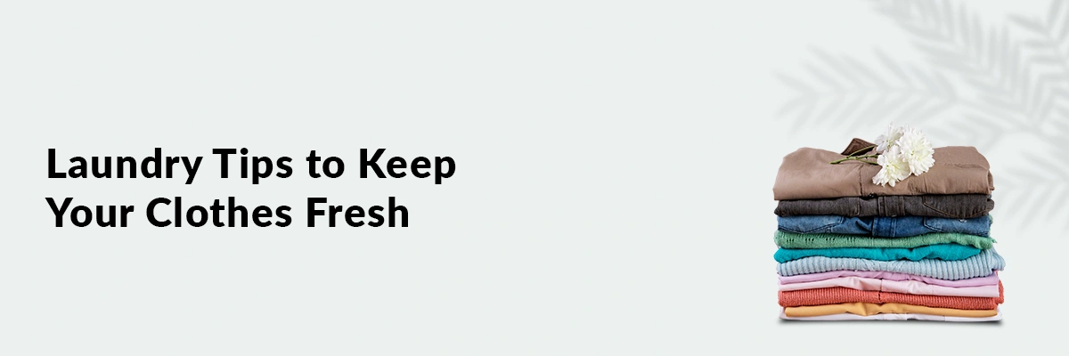 Best Laundry Tips to Keep Your Clothes Fresh and Odor Free