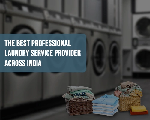 best professional laundry service provider
