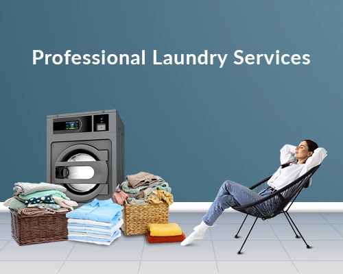 professional laundry services