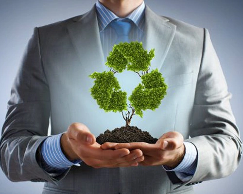 Sustainable and Eco-Friendly Businesses